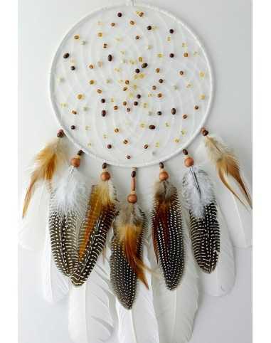 Dream Catcher