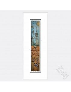 Ltd Edition - Zenith